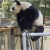 禁』