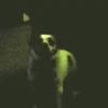 Memes de Cachorro engraçado 8