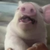 🎵 TIKTOKeando 27🎵 12