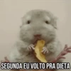 GIFs Pets Fofos Memes 🐾 20