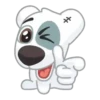 Dog Cute 🐶❤️‍🩹 15