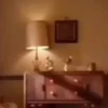Chega de estresse, bo dançar  26