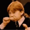 GIFs Harry Potter 28