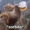 Monos con Frases 3🐒 17