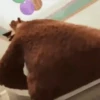 🎵 TIKTOKeando 39🎵 26