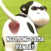 Filter sapi sion cow gerak 16