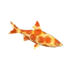 Fish Sticker Tiktok 16