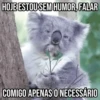GIFs Pets Fofos Memes 2 🐾 19