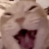 GIF 25