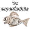 Animalitos funny random🐀🐷🐢 13