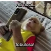 Funny Animal Memes 🐾 14