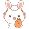 Enojo 27