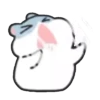 Hámster Kawaii💕🐹 14