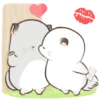 Amorcito 5