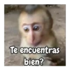 Te encuentras bien?