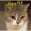 lies!!!
