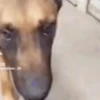 CATIORO 8