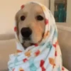 Que frio é esse?? 🥶⛄️ 8