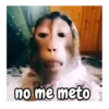 no me meto