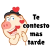 Te contesto mas tarde