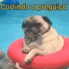 Doguinhos Animados🐶 12