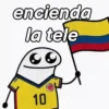 FLORK Colombia 🇨🇴😌✨ 7