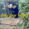 deu por hoje!