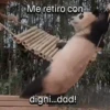 Funny Animal Memes 🐾 6
