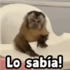 Lo sabía!