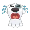 Dog Cute 🐶❤️‍🩹 13