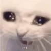 FF