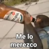 Monos con Frases 3🐒 7