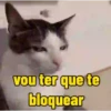 vou ter que te bloquear