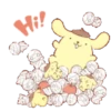 Pompompurin ✨✨ 6