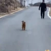 🔥 TIKTOK RAMDON 9.📱 12