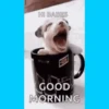 BUONANOTTE BUONGIORNO  19