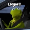 Rana René #2🐸 6