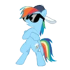 Rainbow Dash my little pony 11