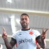 Vasco 5
