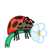 Catarina 1 🐞 9