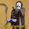 AMOSTRADINHO ☠️🪓 15