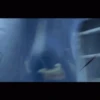 Bee Movie GIFs 9