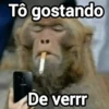 Memes figurinhas  25
