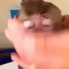 Adesivos engraçados 12