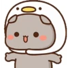 Pandaa yg gemoy 22