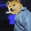 Doge animated stickers 15