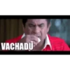 Brahmi 20