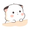 Little cute fatty cat 15