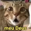 meu Deus
