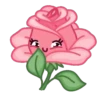Flowers 11